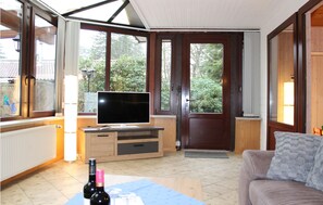 Télévision, cheminée, chaîne hi-fi