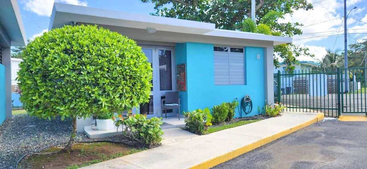 A modern building with a blue exterior, a small porch, and a well-maintained garden with a large bush and smaller plants.