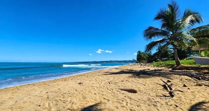 Casa Tortuga | Beachfront Villa | Pool | Aguada PR