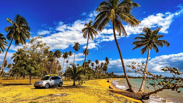 A beach scene with a car parked on the sand, palm trees, and a clear blue sky. - Casa Tortuga | Beachfront Villa | Pool | Aguada PR (Aguada)