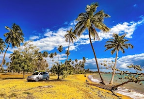 Eine Strandansicht mit einem Auto, das im Sand geparkt ist, Palmen und einem strahlend blauen Himmel.