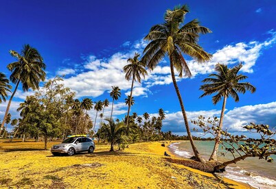 Casa Tortuga | Beachfront Villa | Pool | Aguada PR