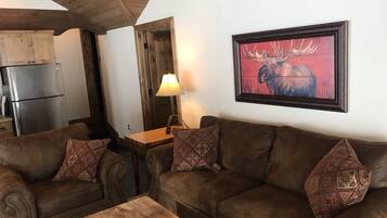 TV connectée, cheminée, livres