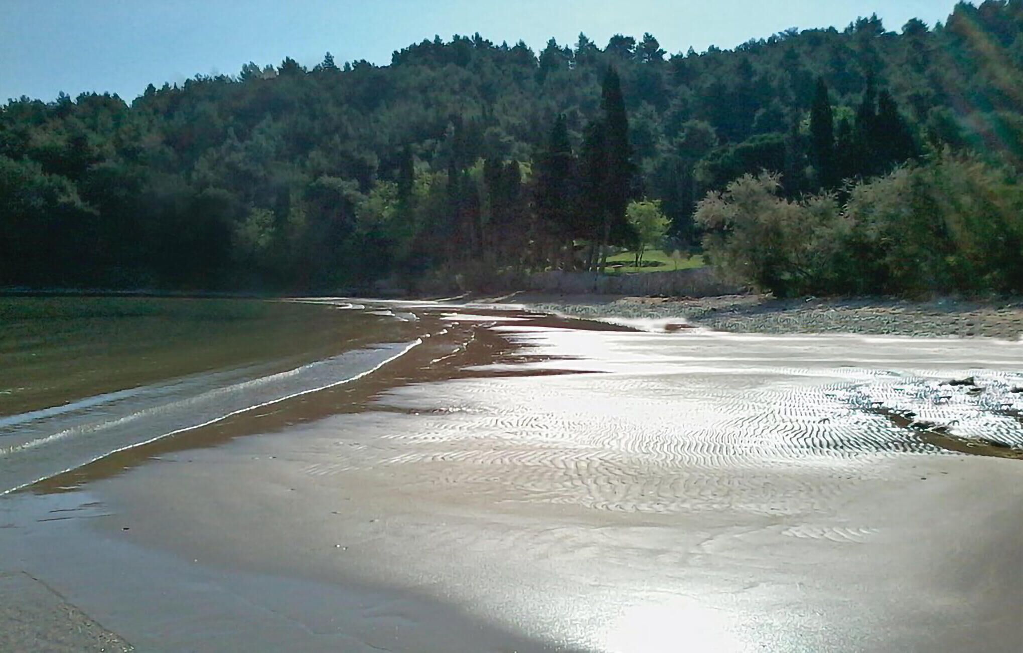 Una sponda fluviale con una spiaggia sabbiosa e colline boscose sullo sfondo.