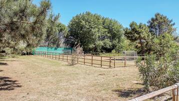 Parco della struttura