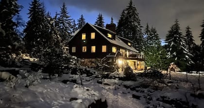 Log Cabin Daylight Basement Family Fun Center, Hot Tub, Free EV Charging