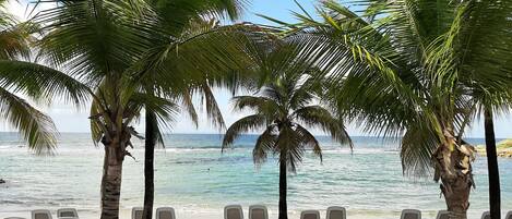 A la platja i tovalloles de platja