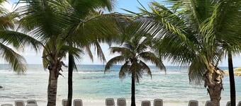 Magnificent F3 with swimming pool and direct access to the beach