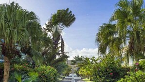 A pathway flanked by lush greenery and palm trees, leading to a building.