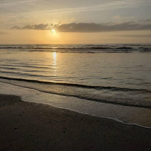 Salty Seahorse Studio, steps from the sand!