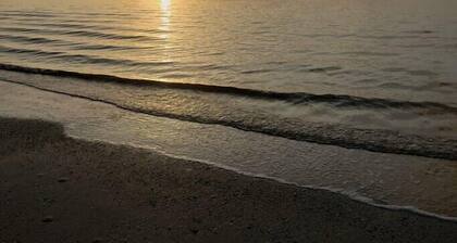 Salty Seahorse Studio, steps from the sand!