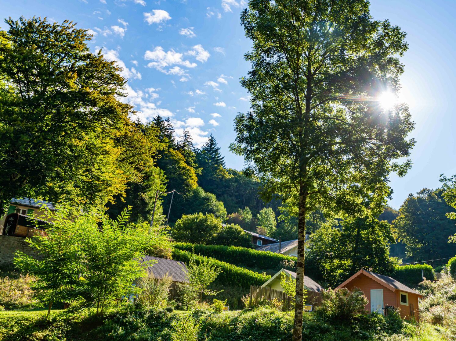 Terrein van de accommodatie