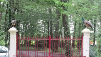 Áreas de la propiedad