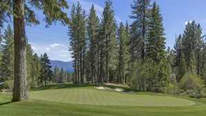 Un campo da golf con fairway curato, bunker di sabbia e alti pini.