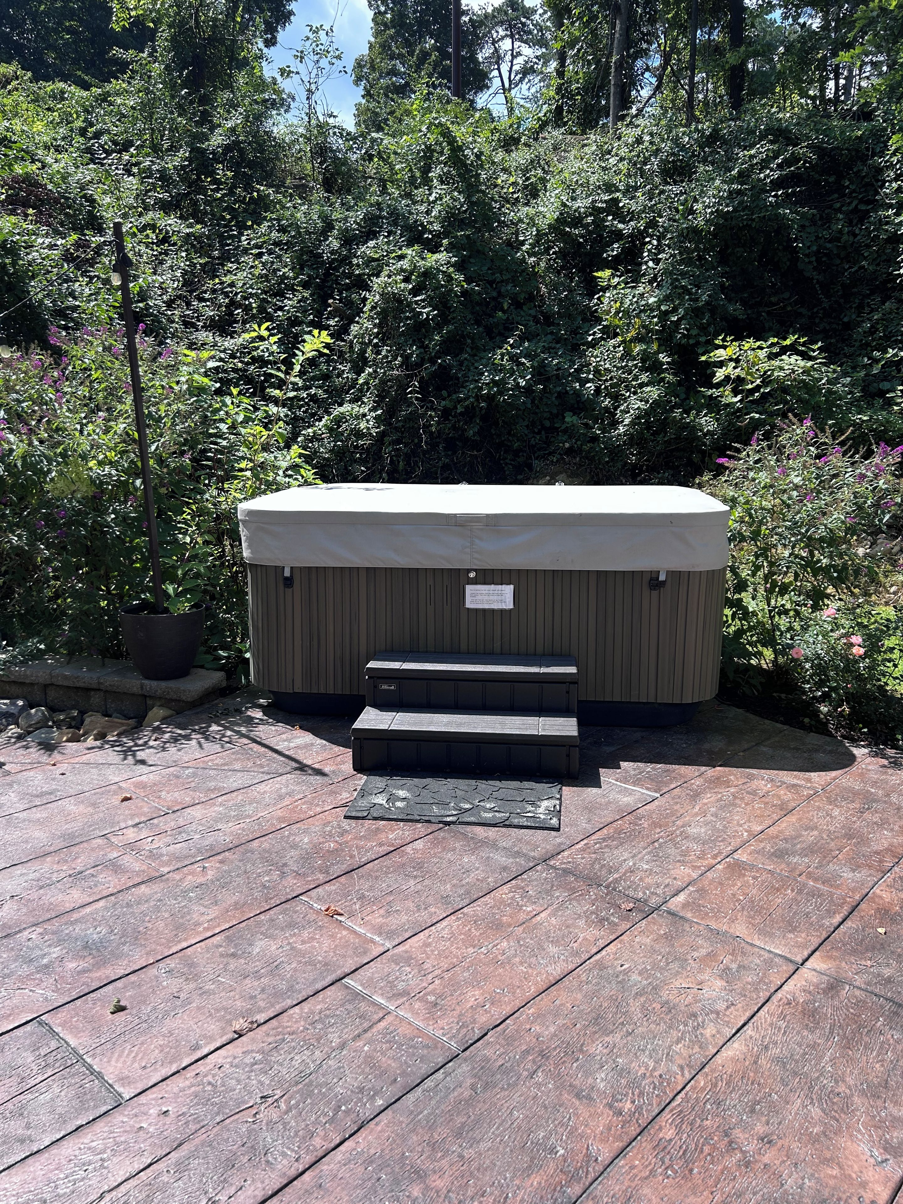 A hot tub with steps and a label, surrounded by dense foliage.