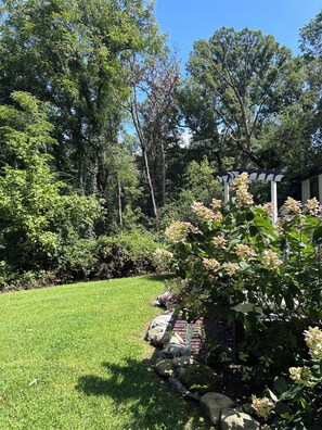 Un jardin bien entretenu, avec une pelouse, une pergola et divers arbustes.