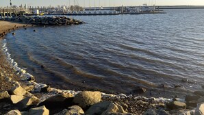A marina with boats docked, a rocky shoreline, and a clear sky.