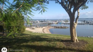 A marina with boats docked, a sandy beach, and a large tree in the foreground.