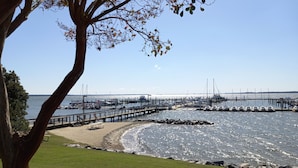A marina with boats docked, a pier extending into the water, and a grassy area with a tree in the foreground.
