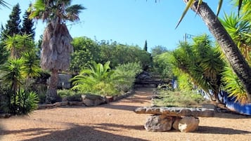 Un sentier de jardin avec un banc en pierre, entouré de différentes plantes et arbres tropicaux.