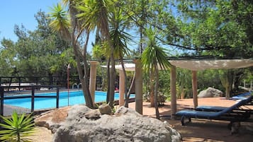 Un espace piscine agrémenté de chaises longues, de palmiers et d’une formation rocheuse.
