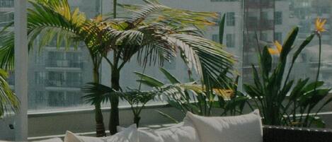 Jardines del alojamiento