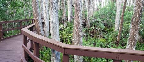 المنطقة المحيطة بالمنشأة