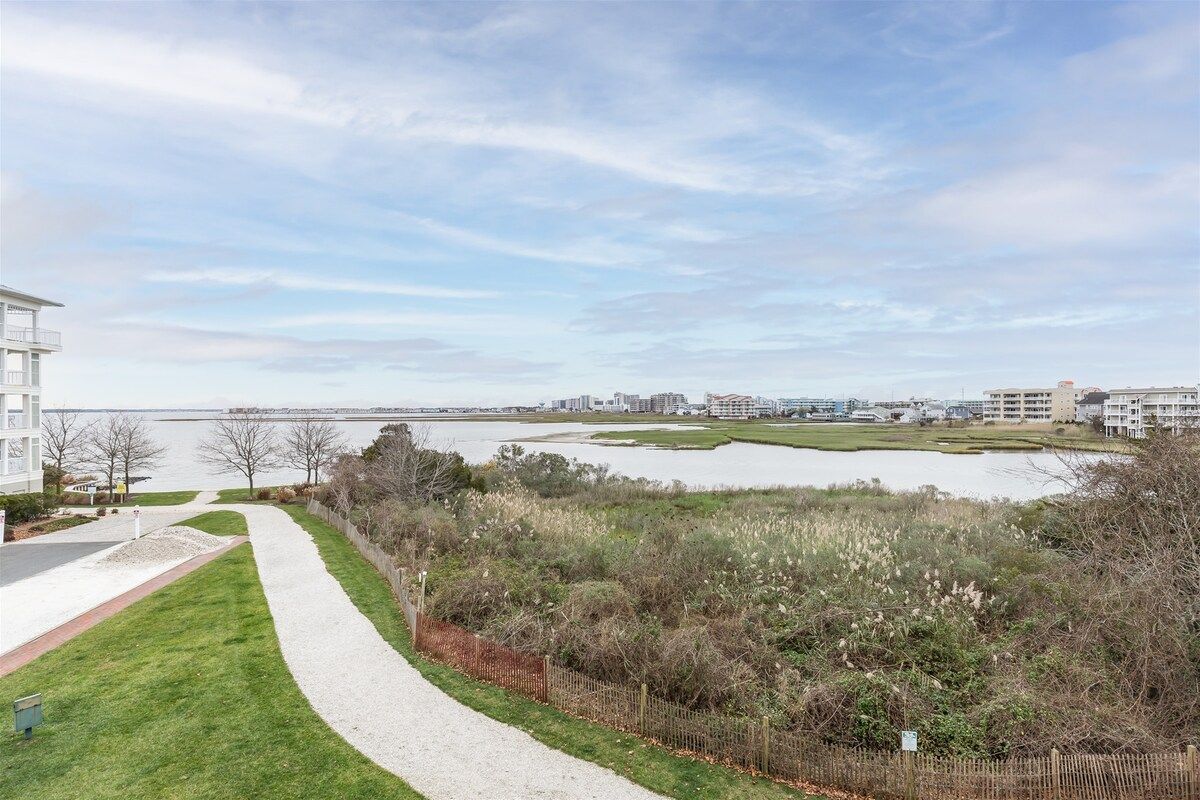 A pathway leading to a body of water with buildings in the background.