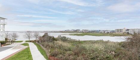 A pathway leading to a body of water with buildings in the background.