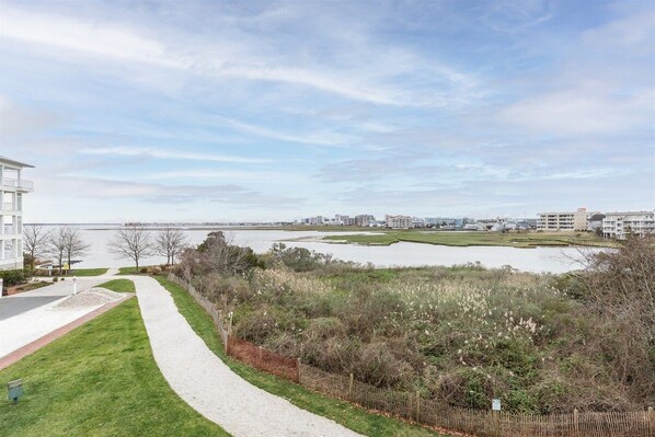 Un sendero que lleva a una masa de agua, con edificios al fondo.