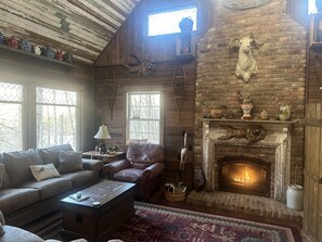 スマートテレビ、暖炉、DVD プレーヤー、書庫