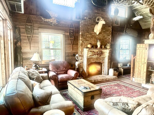 TV connectée, cheminée, lecteur de DVD, livres