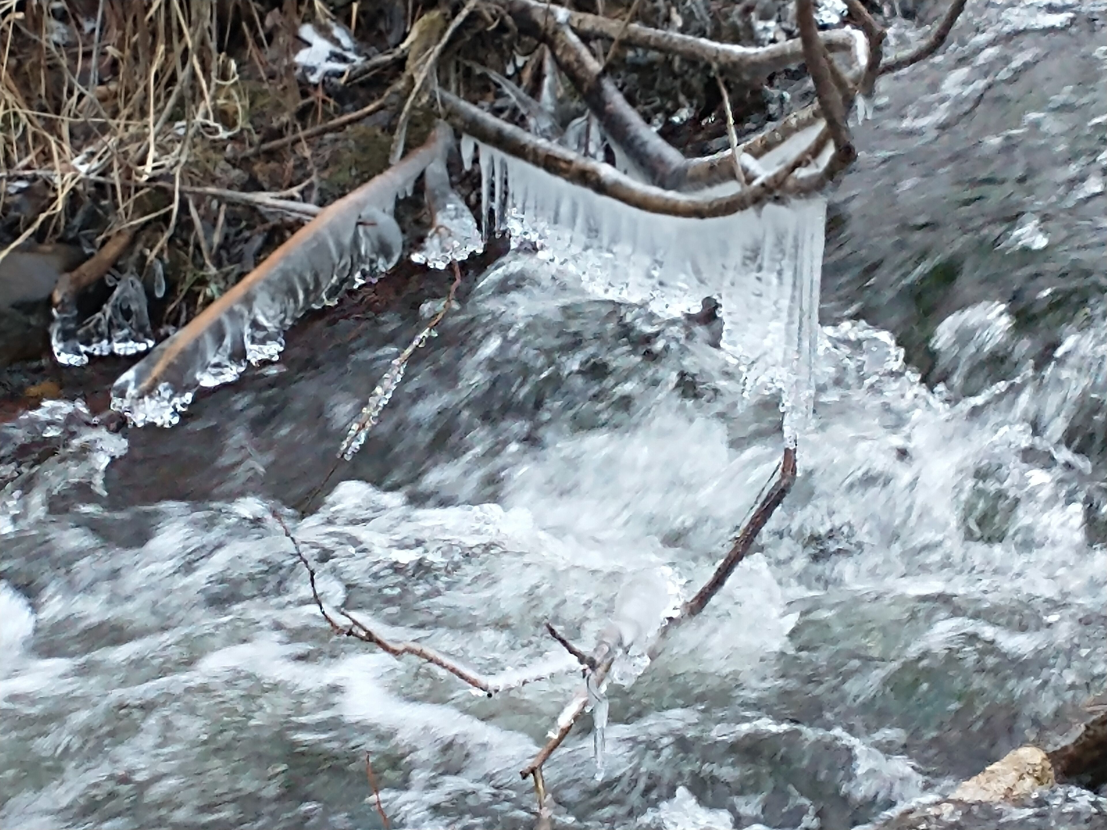 A stream with ice formations and branches.