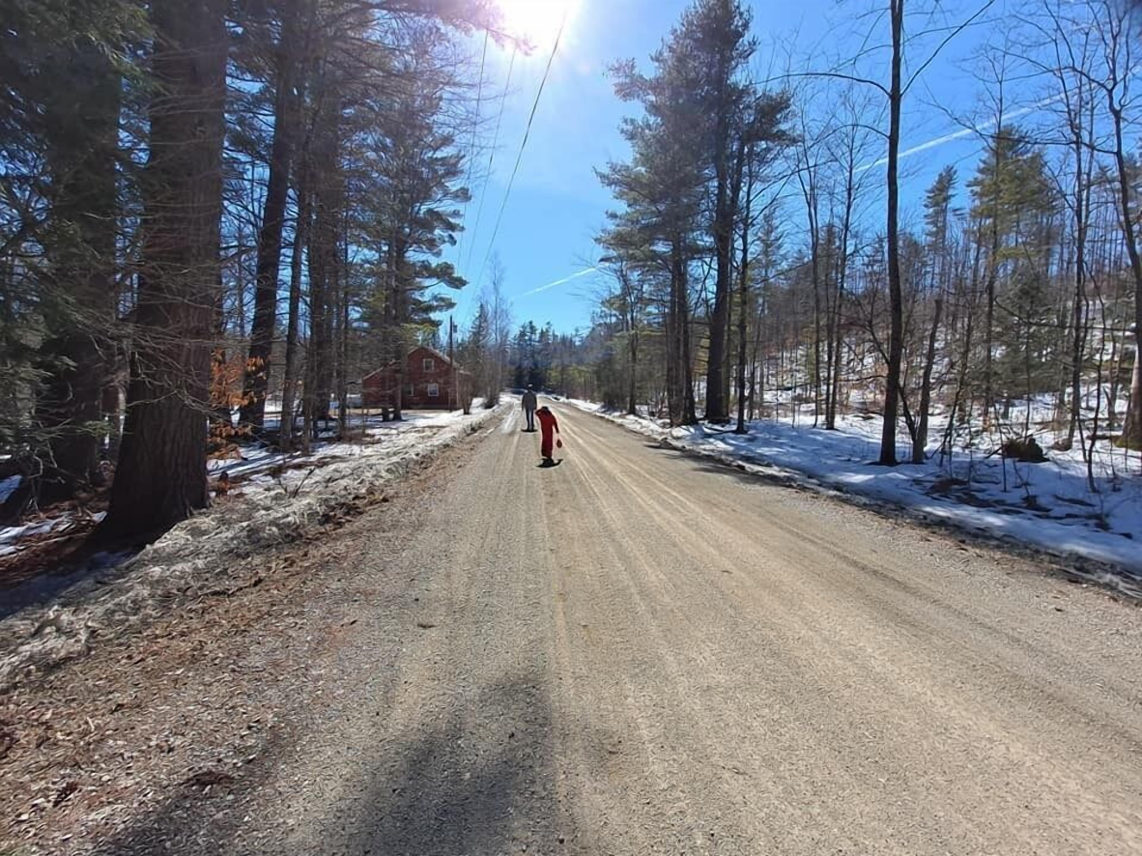 Une route de campagne bordée de grands arbres, avec une petite maison qui se devine au loin.