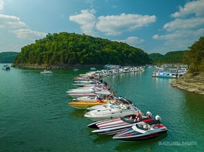 Marina - LAKE CUMBERLAND: AMAZING lake views year-round. Minutes to JAMESTOWN Marina, KY. (Jamestown)