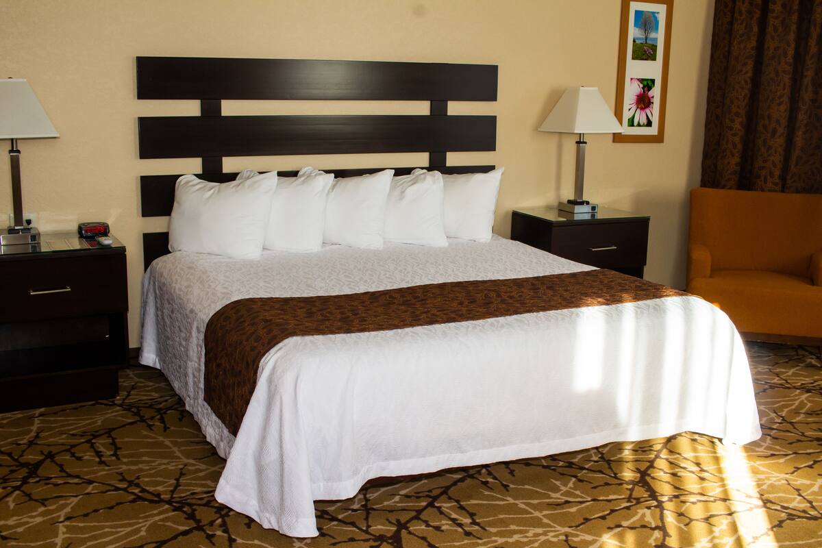 Een hotelkamer met een groot bed, een houten hoofdbord, twee nachtkastjes met lampen, een bruine fauteuil en een kamerbreed tapijt met een patroon.