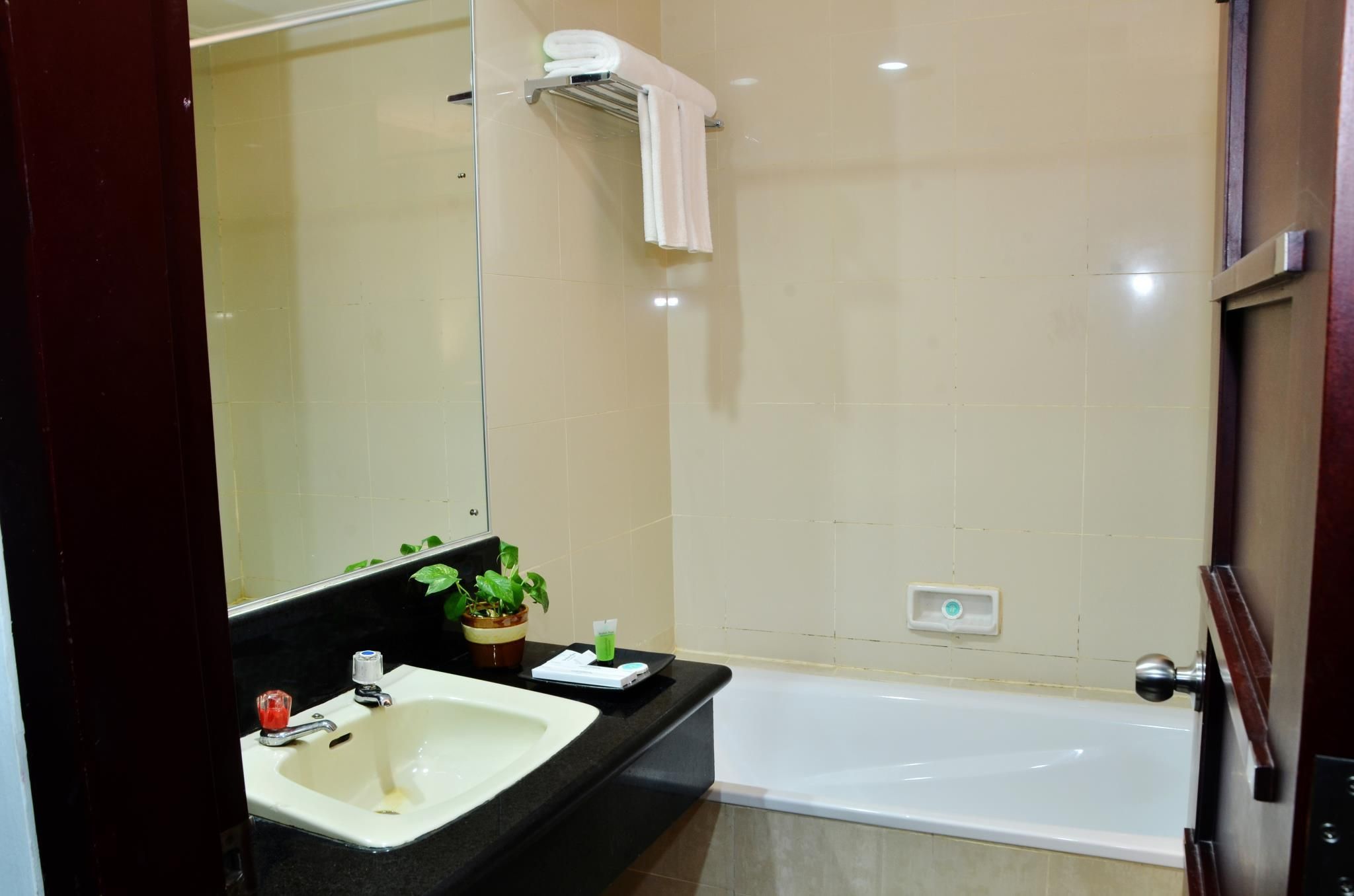 A bathroom with a sink, mirror, potted plant, and a bathtub.