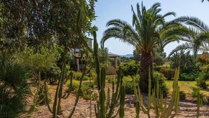 A garden with various cacti and palm trees, a building in the background, and a clear sky. - Villa Hostalet,  Spaciousness and nature near the golf course (Pollença)