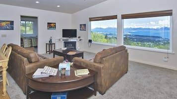 Smart TV, fireplace, books