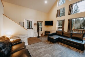 TV, fireplace, video games, DVD player