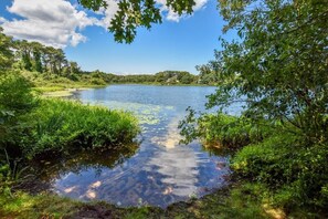 星評価なしの画像、5 / 32、ボタン