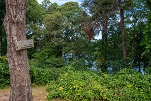A natural setting with a wooden sign on a tree, dense foliage, and a body of water in the background.