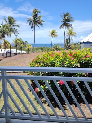 Property grounds - studio sea view with pool and beach manganao Guadeloupe saint François (Saint-François)
