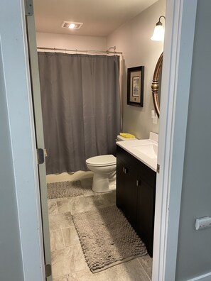 A bathroom with a toilet, a shower curtain, a sink with a mirror, and a rug on the floor. - Crane and Nature Lovers Dream - Perfect for Crane Viewing!  (Shelton)