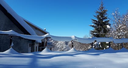 House in the Forest - Sunshine (CITRA code. 009063-LT-0015)