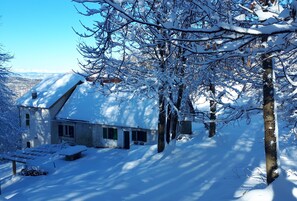 Ein mit Schnee bedecktes Haus mit geneigtem Dach, umgeben von Bäumen und einem klaren Himmel.