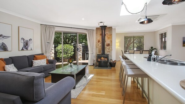 TV, fireplace, Netflix, books