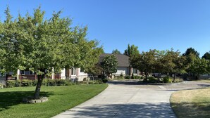 A residential street with houses, a sidewalk, and trees.