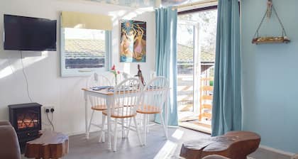 Twit Too Woo - UK6760