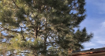 MileHi Vacation Home (near DIA, pet friendly, has a baby crib)